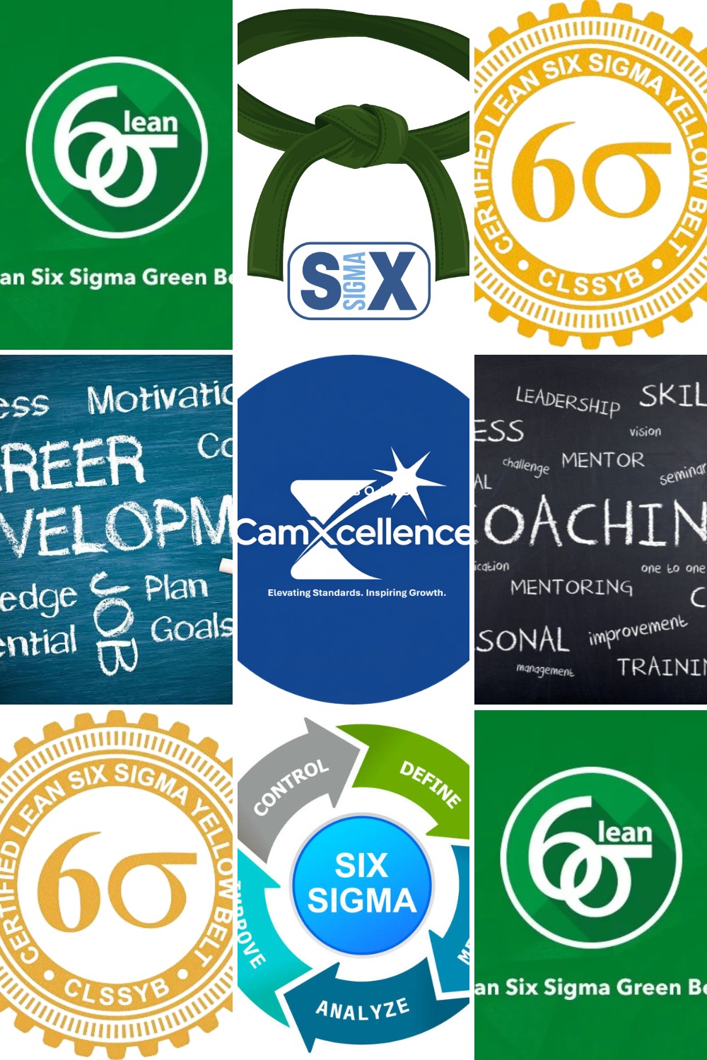 CamXcellence Lean Six Sigma consultancy: belts, DMAIC and continuous improvement